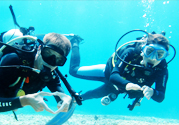 Komodo Liveaboard Diving