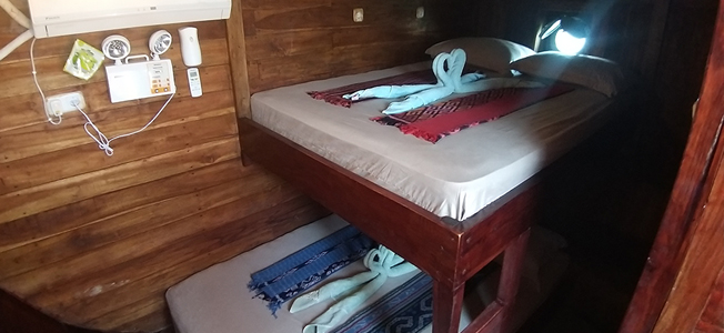 Indonesia Explorer Double Bunk Bed