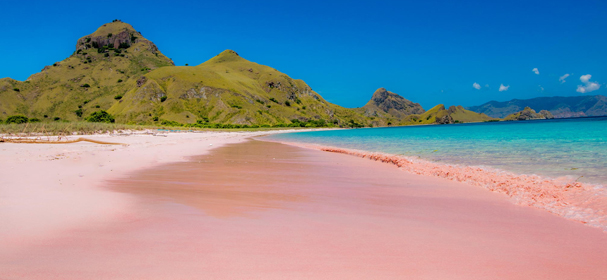 Pink Beach Komodo Flores